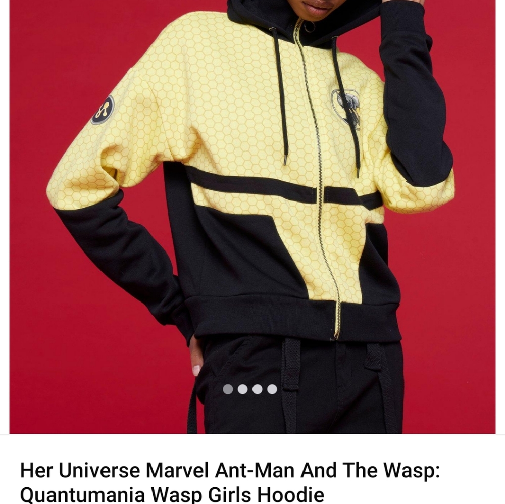 Ant-Man and the Wasp Hoodie